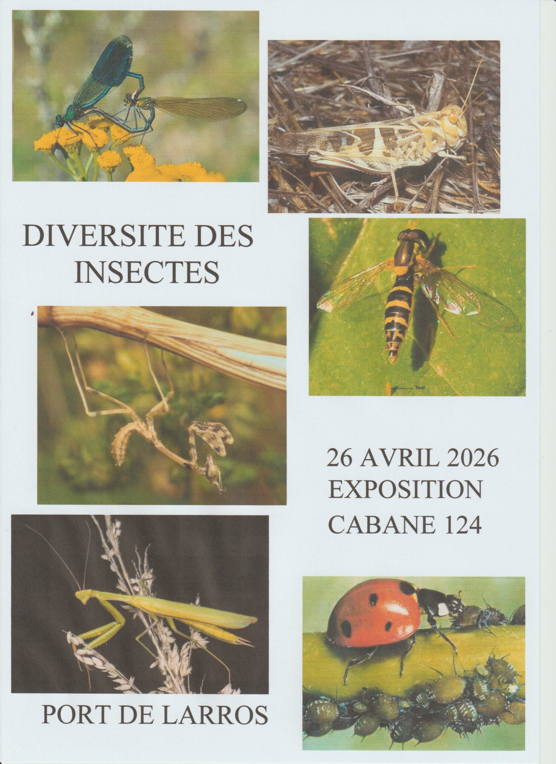 Exposition à la cabane pour Terra Ostra